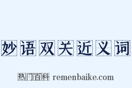 妙语双关近义词是什么意思的图片